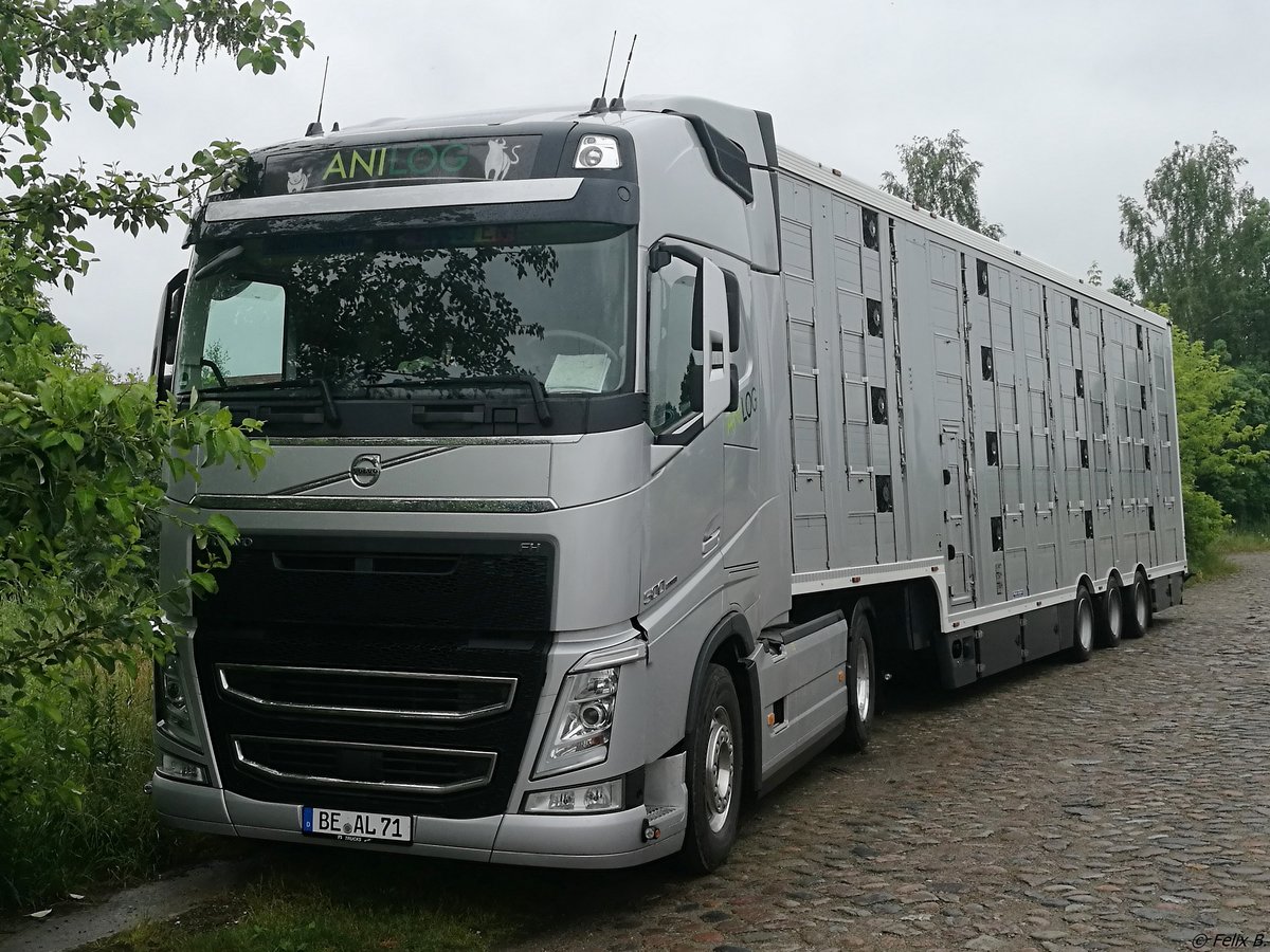 Volvo FH 500 Tiertransporter in Neubrandenburg.