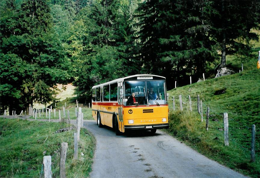 (111'222) - Schmid, Thrishaus - BE 26'206 - Saurer/Tscher (ex P 24'244) am 27. September 2008 bei Kiental