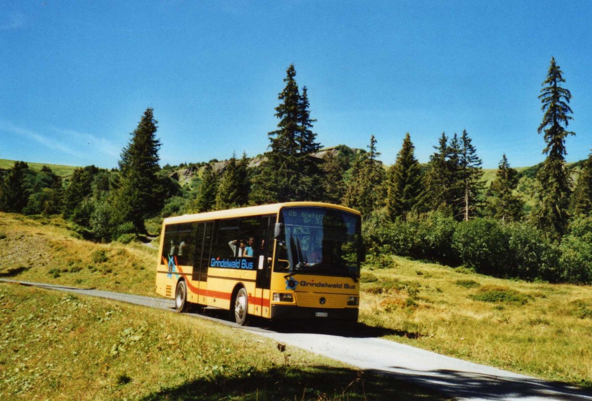 (120'310) - AVG Grindelwald - Nr. 15/BE 416'282 - Vetter am 23. August 2009 auf der Schwarzwaldalp