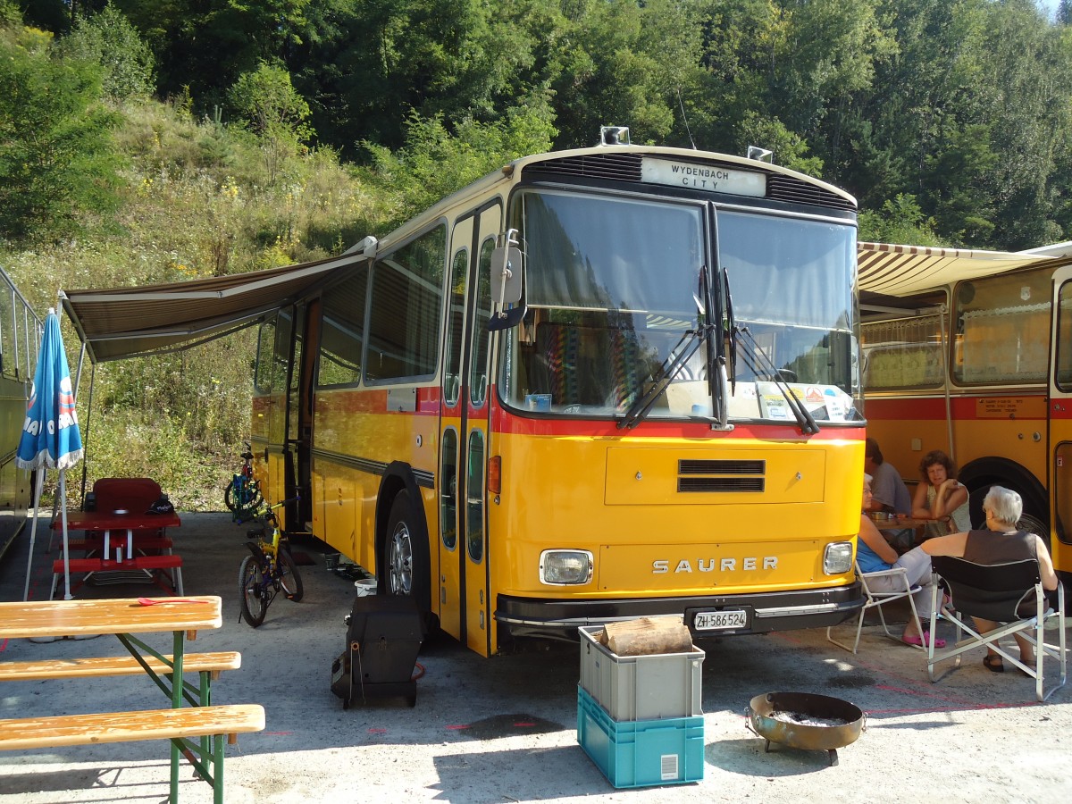 (128'955) - Baumann, Horgenberg - ZH 586'524 - Saurer/Tscher (ex P 24'226) am 22. August 2010 in Thayngen, Wohnbustreffen