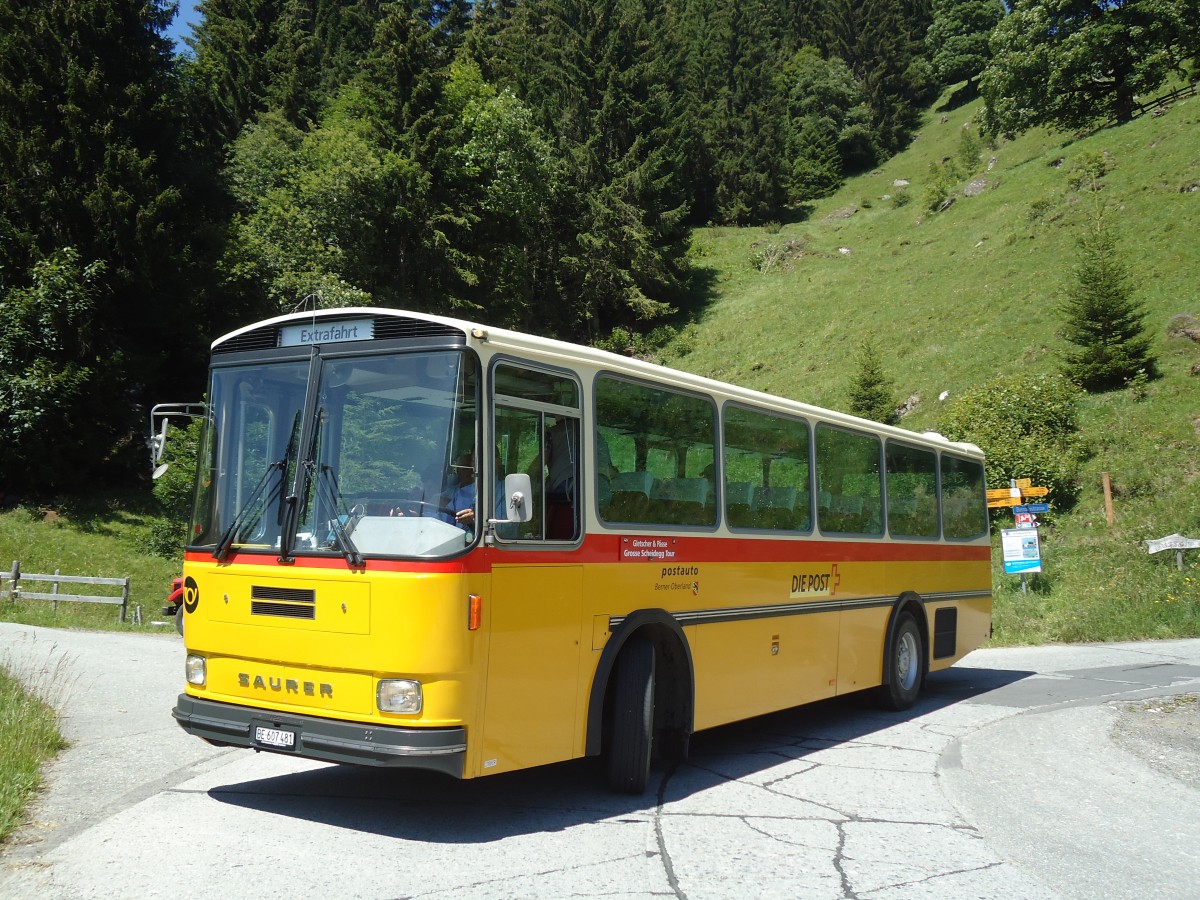 (134'738) - AVG Meiringen - Nr. 74/BE 607'481 - Saurer/R&J (ex P 24'357) am 3. Juli 2011 in Grindelwald, Weidli