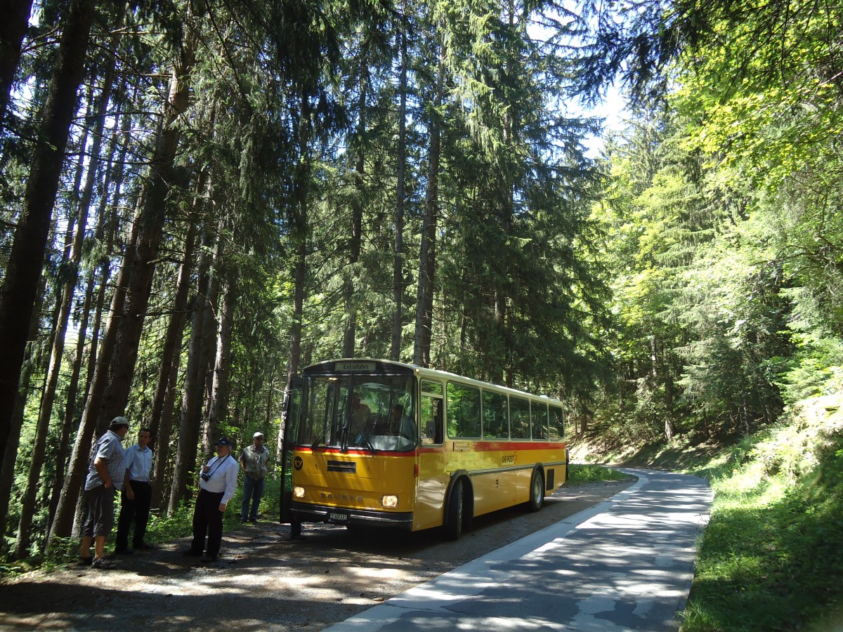 (134'741) - AVG Meiringen - Nr. 74/BE 607'481 - Saurer/R&J (ex P 24'357) am 3. Juli 2011 auf der Strasse Waldspitz-Grindelwald