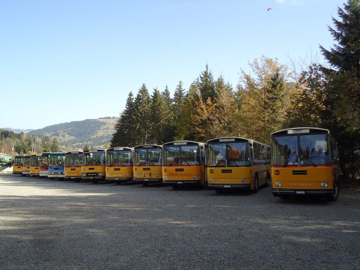 (142'038) - Schmid, Thrishaus - BE 26'206 - Saurer/Tscher (ex P 24'244) am 21. Oktober 2012 in Schwarzsee, Schwyberg