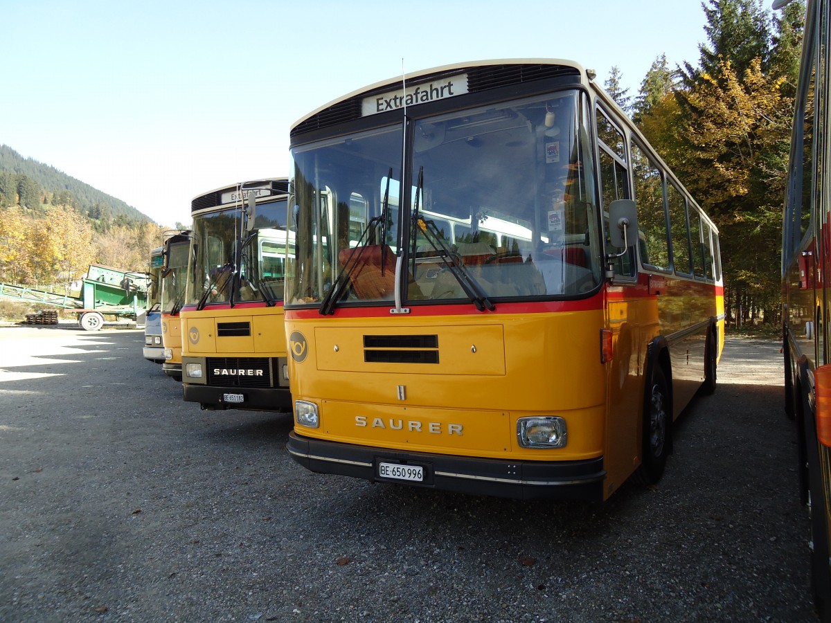 (142'045) - Kammermann, Spiez - BE 650'996 - Saurer/Hess (ex Flury, Balm; ex P 24'233) am 21. Oktober 2012 in Schwarzsee, Schwyberg