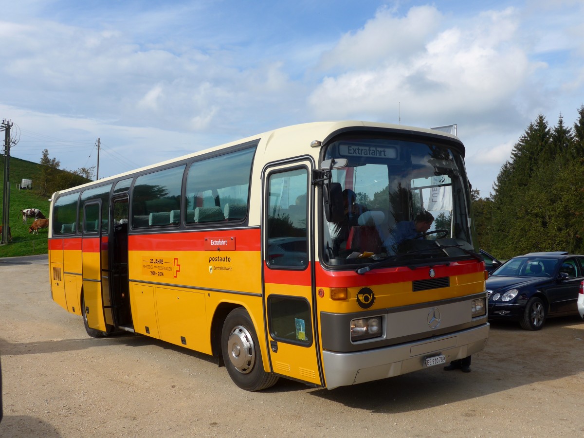 (155'540) - Buzzi, Bern - BE 910'789 - Mercedes (ex Mattli, Wassen) am 5. Oktober 2014 in Kaltacker, Lueg