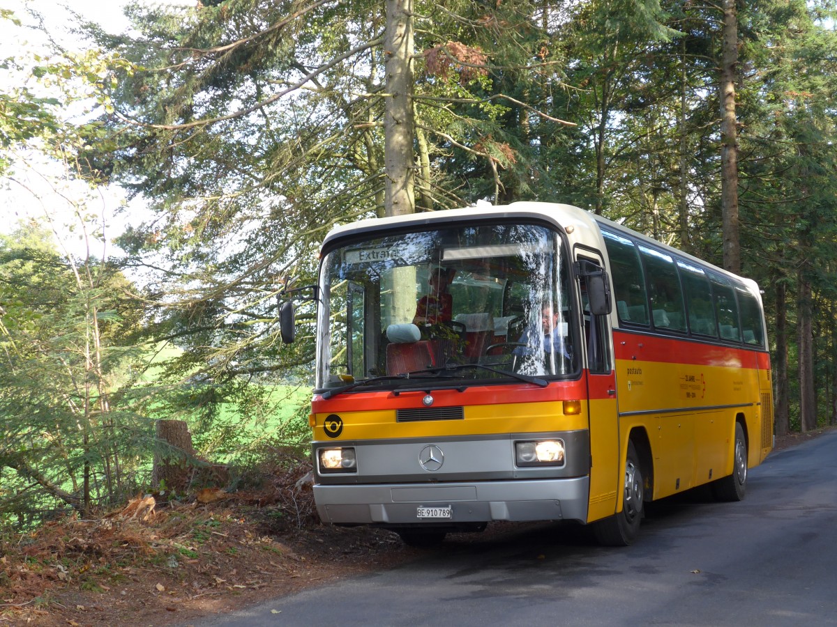 (155'542) - Buzzi, Bern - BE 910'789 - Mercedes (ex Mattli, Wassen) am 5. Oktober 2014 in Kaltacker, Lueg