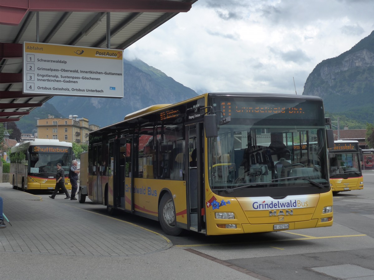 (162'401) - AVG Grindelwald - Nr. 14/BE 202'568 - MAN/Gppel am 20. Juni 2015 in Meiringen, Postautostation