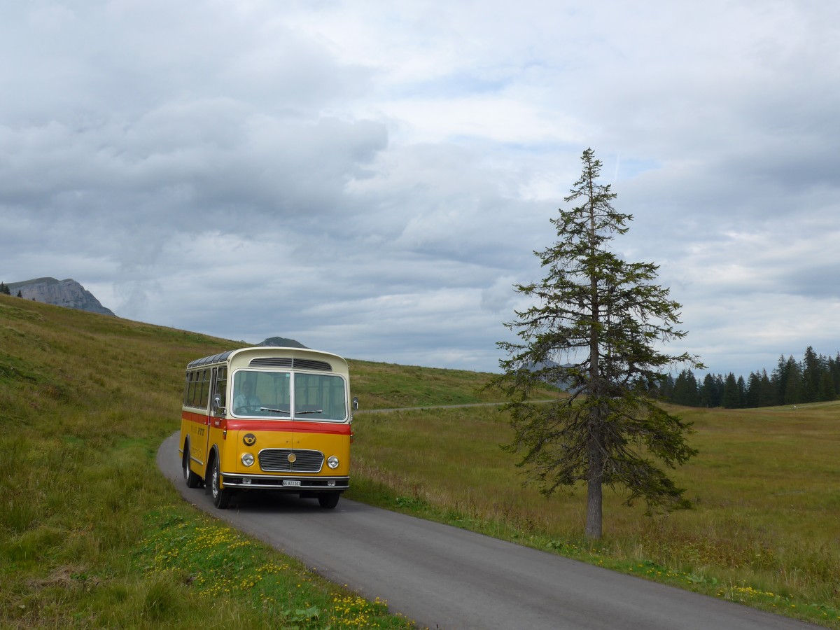 (163'844) - Rentsch, Gunten - BE 823'203 - FBW/Gangloff (ex P 23'203; ex P 21'003) am 23. August 2015 in Habkern, Lombachalp