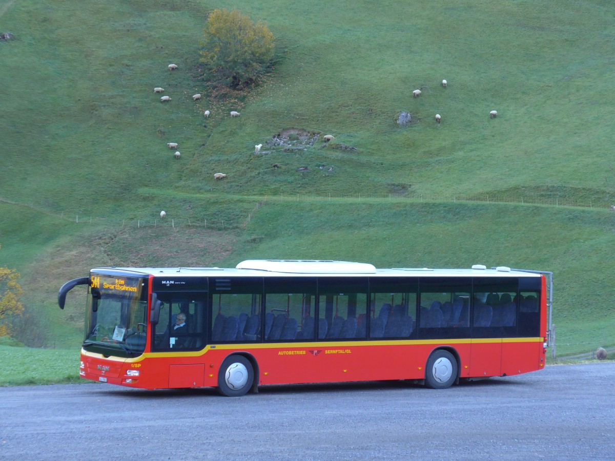 (166'132) - AS Engi - Nr. 1/SP/GL 7701 - MAN am 10. Oktober 2015 in Elm, Sportbahnen