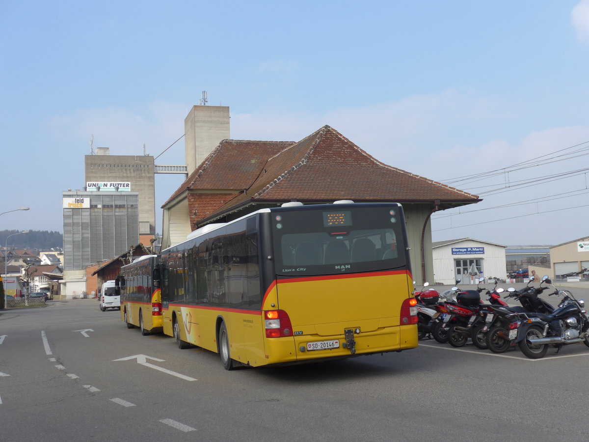 (169'412) - Steiner, Messen - SO 20'146 - MAN (ex SO 157'255) am 21. November 2016 beim Bahnhof Lohn-Lterkofen