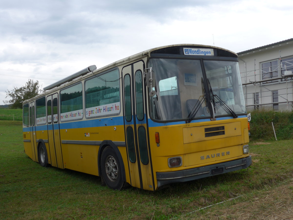 (174'065) - Aus der Schweiz: Hilariverein, Flurlingen - Saurer/Hess (ex P 25'826) am 20. August 2016 in Bsingen, Bahnhof