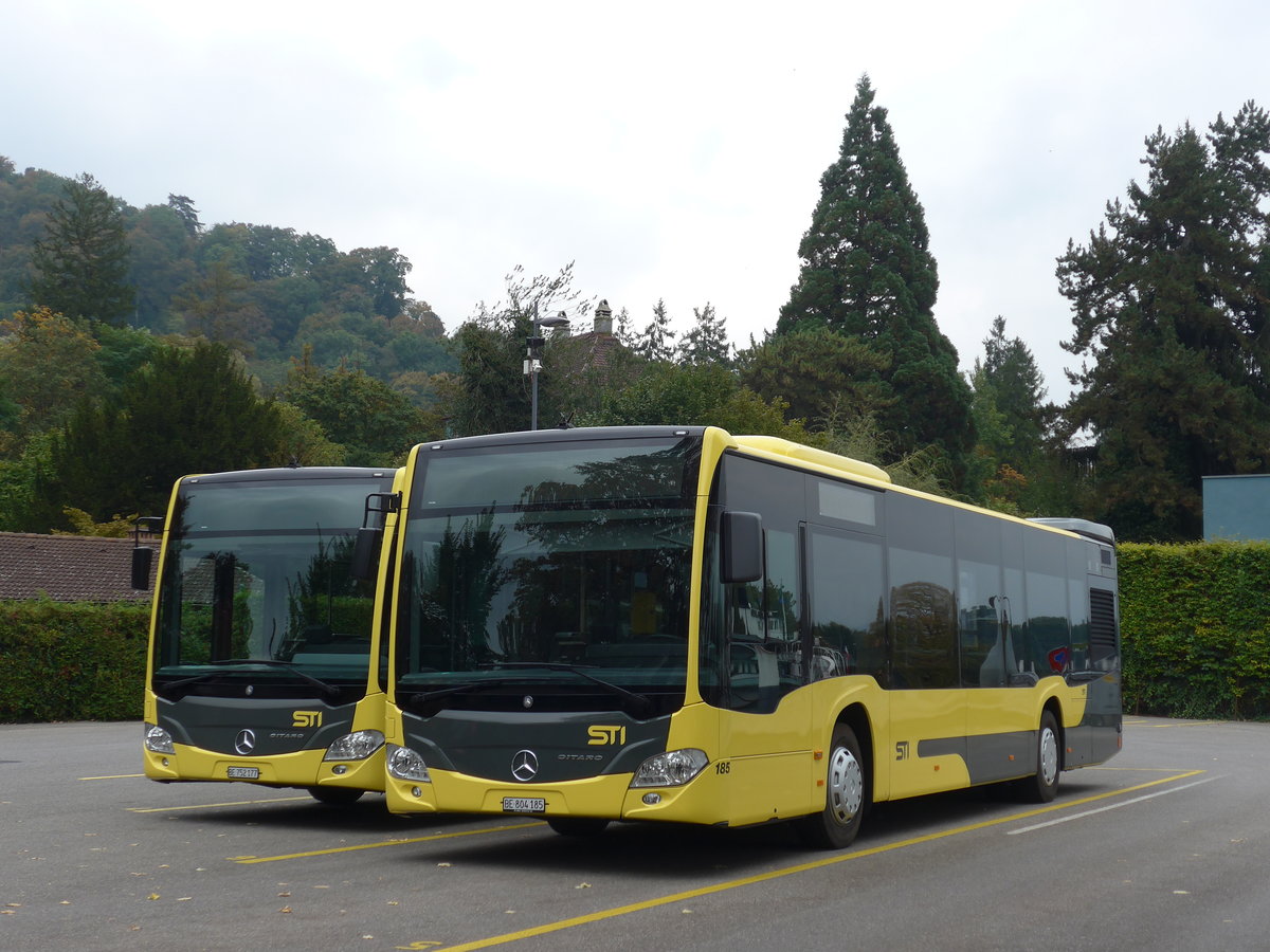 (175'591) - STI Thun - Nr. 185/BE 804'185 - Mercedes am 11. Oktober 2016 bei der Schifflndte Thun