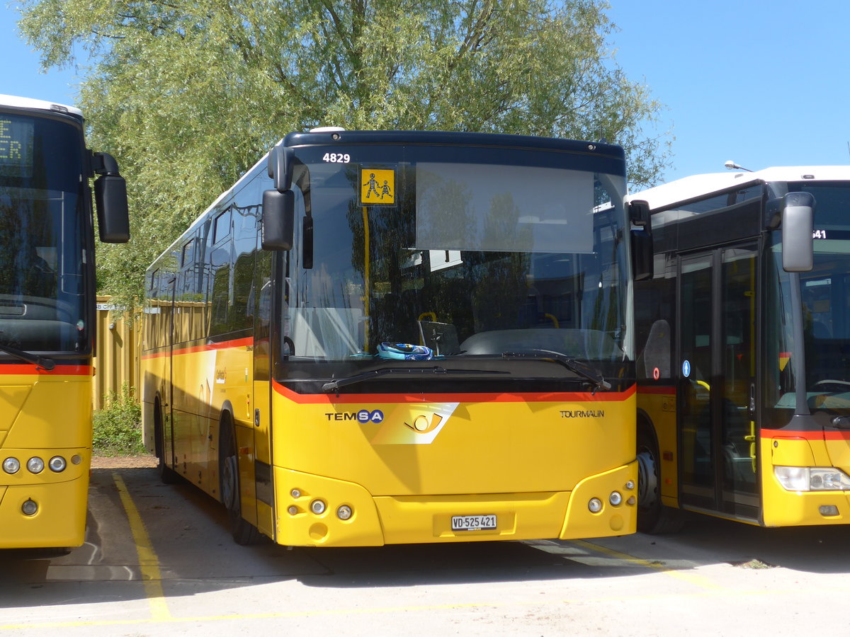 (179'864) - CarPostal Ouest - VD 525'421 - Temsa am 29. April 2017 in Yverdon, Garage