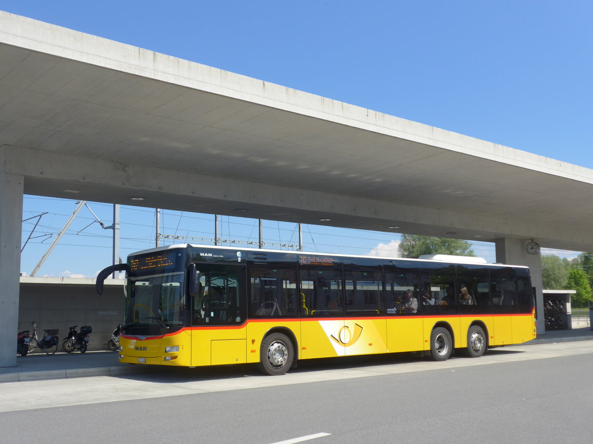 (180'384) - Schwizer, Goldach - SG 115'160 - MAN (ex Casutt, Gossau) am 22. Mai 2017 beim Bahnhof Rheineck