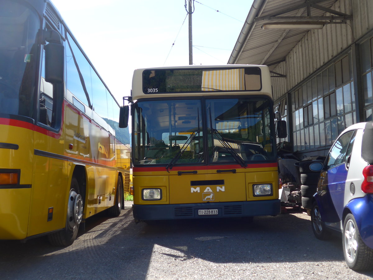 (180'605) - Merzaghi, Maroggia - TI 228'833 - MAN/Lauber (ex AutoPostale Ticino; ex P 23'014) am 23. Mai 2017 in Maroggia, Garage