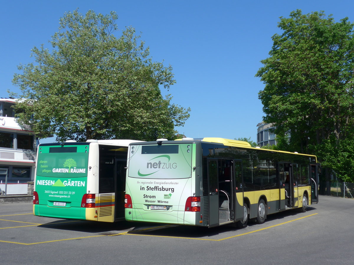 (180'902) - STI Thun - Nr. 159/BE 752'159 - MAN am 29. Mai 2017 bei der Schifflndte Thun