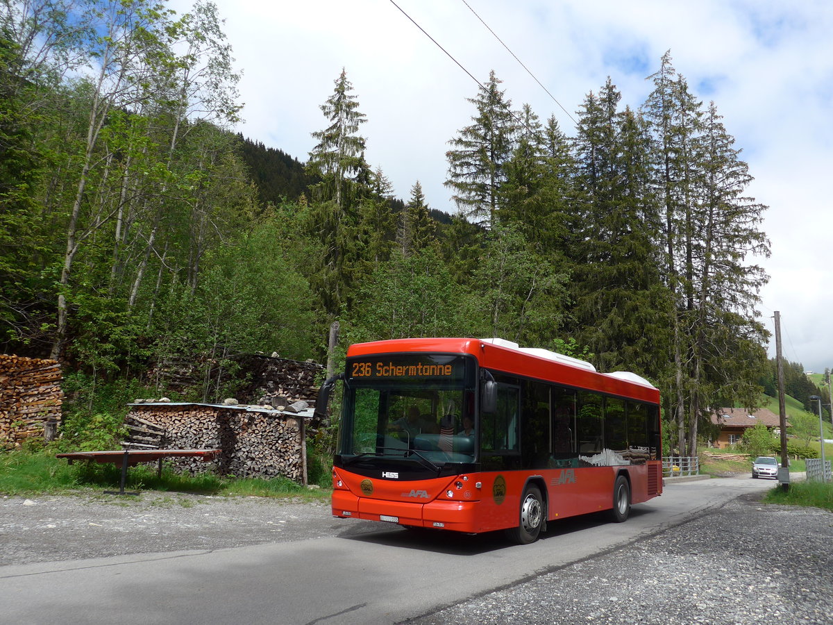 (180'973) - AFA Adelboden - Nr. 55/BE 611'055 - Scania/Hess am 4. Juni 2017 in Adelboden, Schermtanne