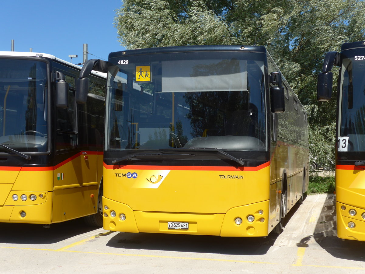 (181'186) - CarPostal Ouest - VD 525'421 - Temsa am 18. Juni 2017 in Yverdon, Garage