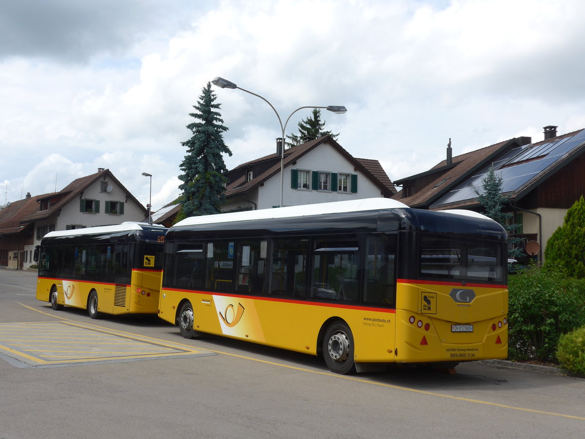 (181'989) - Moser, Flaach - Nr. 290/ZH 812'865 - Gppel Personenanhnger am 10. Juli 2017 in Altikon, Brckenwaage