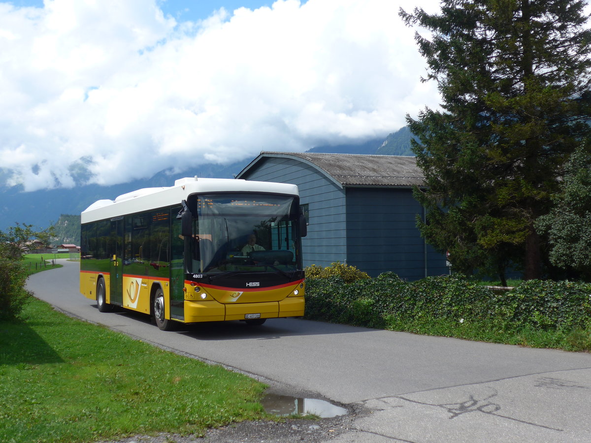 (183'633) - AVG Meiringen - Nr. 66/BE 403'166 - Scania/Hess (ex Steiner, Messen) am 19. August 2017 in Unterbach, Schulhaus