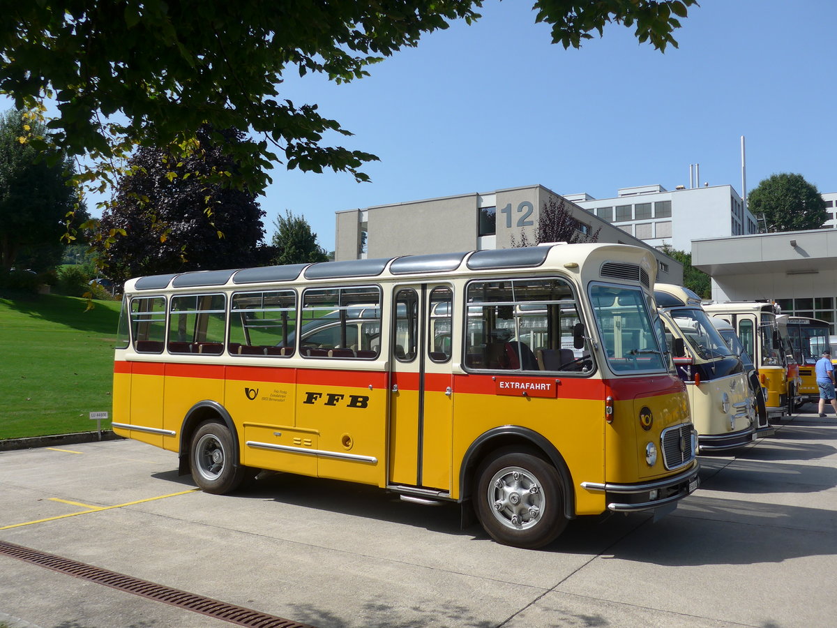 (184'453) - Frutig, Birmensdorf - ZH 560'883 - FBW/FHS (ex P 23'217) am 26. August 2017 in Oberkirch, CAMPUS Sursee