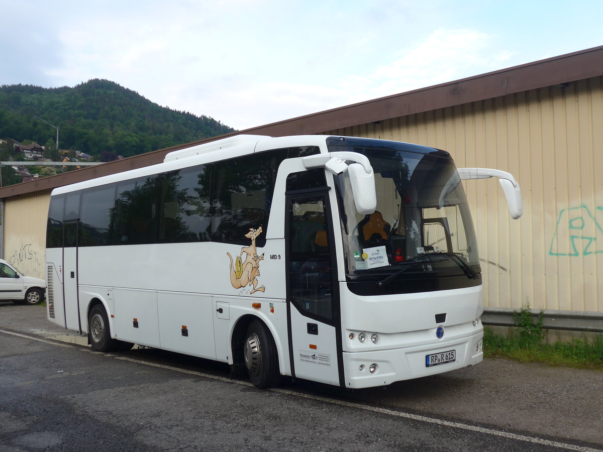 (193'027) - Aus Deutschland: Star, Dannstadt - RP-R 615 - Temsa am 16. Mai 2018 in Thun, Seestrasse