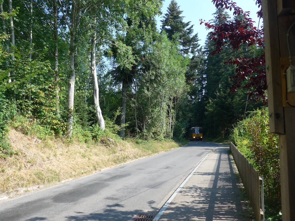 (195'551) - Bernair, Mnsingen - BE 651'182 - Saurer/Tscher (ex Schebath, Lauerz; ex Albin, Fllanden; ex Heim, Flums) am 5. August 2018 in Emmenmatt, Moosegg