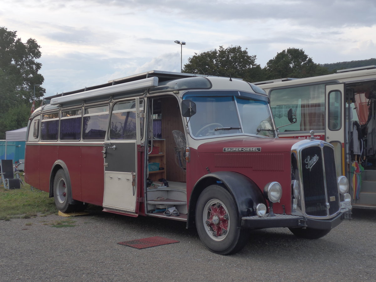 (195'916) - Morger, Horgenberg - ZH 73'310 - Saurer/Tscher (ex P 23'167; ex Casper, Lenzerheide) am 17. August 2018 in Wettingen, Zirkuswiese