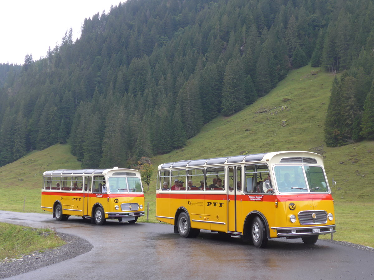 (197'828) - Frutig, Birmensdorf - ZH 560'883 - FBW/FHS (ex P 23'217) + Mller, Ennetmoos - NW 23'167 - FBW/Gangloff (ex Rentsch, Gunten; ex P 23'203; ex P 21'003) am 16. September 2018 in Gschwandtenmaad