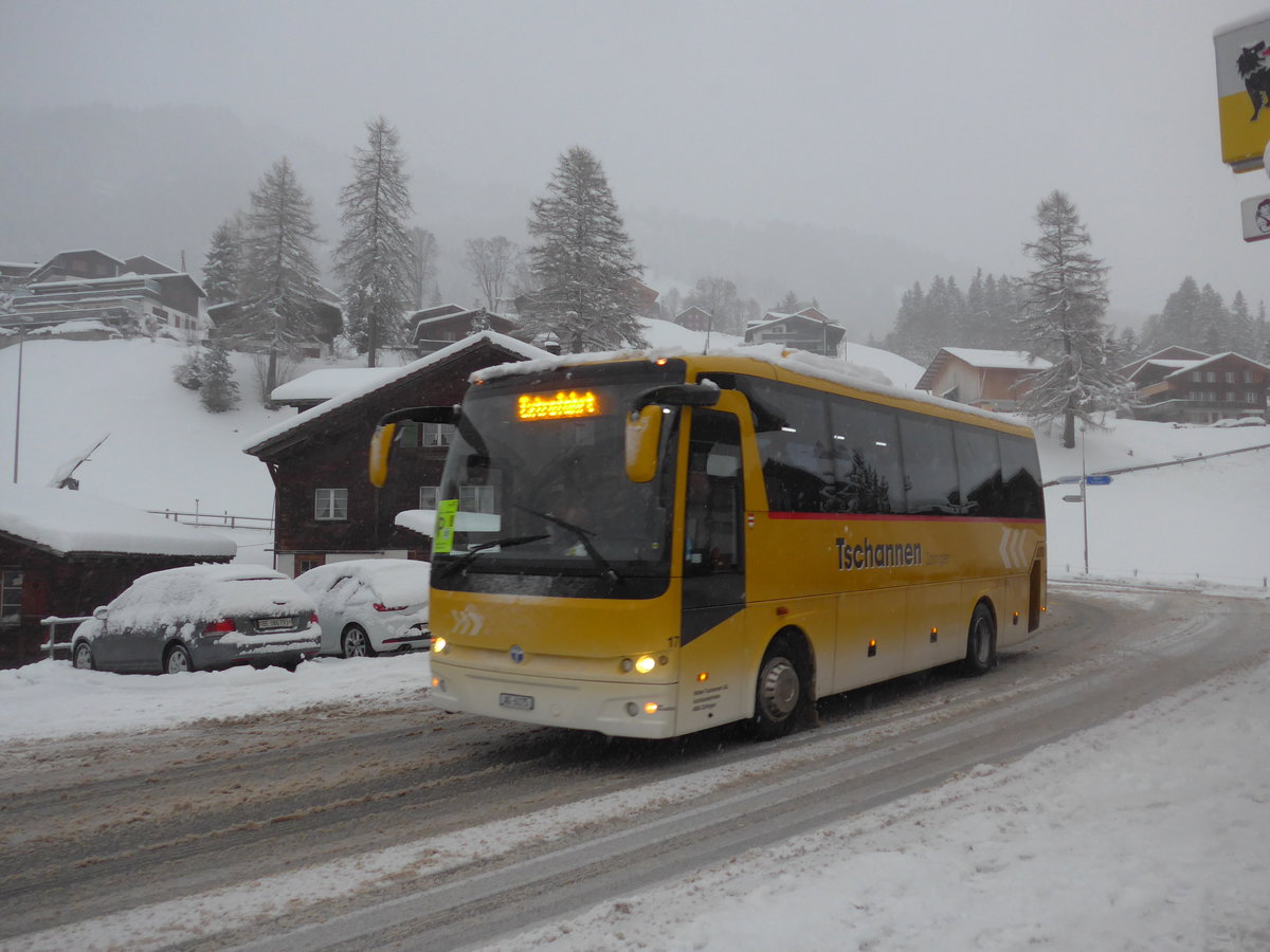 (201'041) - Tschannen, Zofingen - Nr. 17/AG 6175 - Temsa am 13. Januar 2019 in Adelboden, Oey