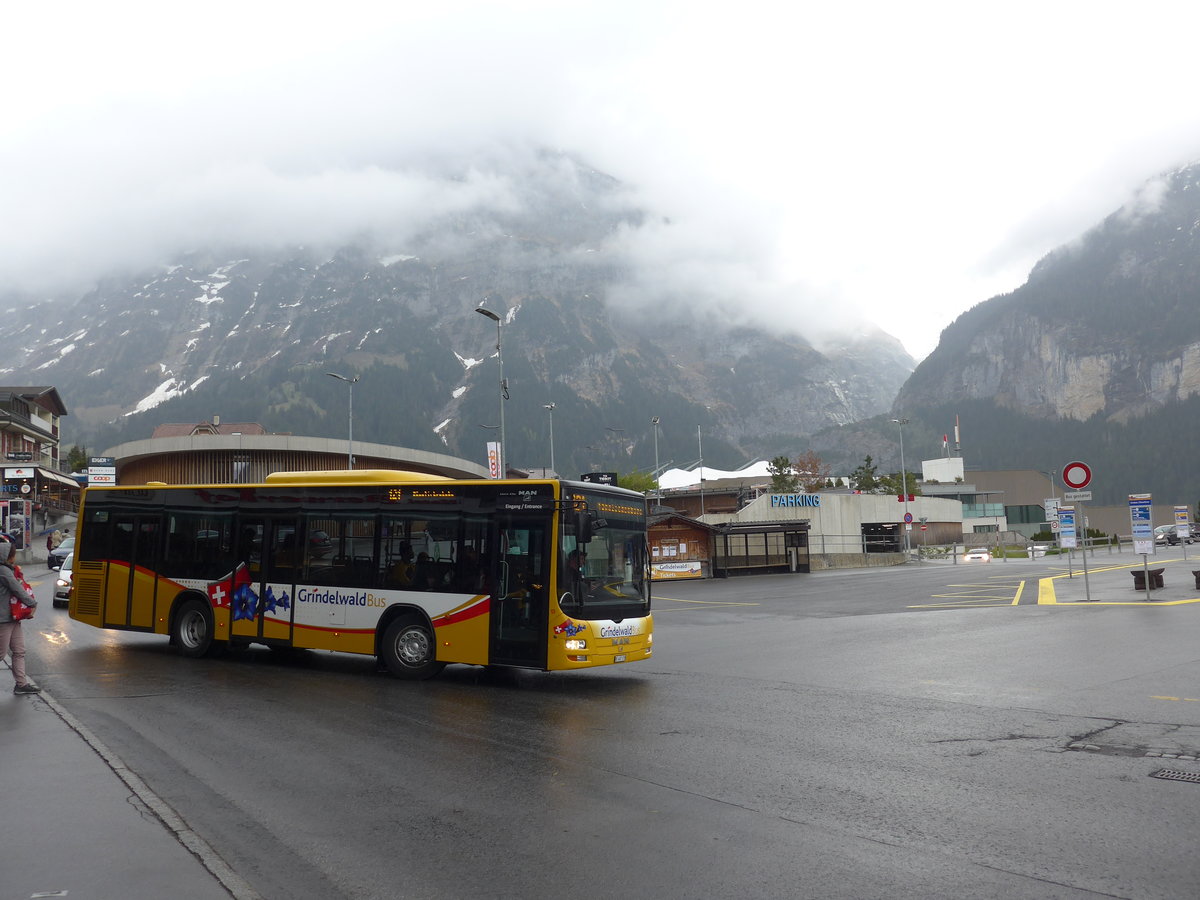 (205'334) - AVG Grindelwald - Nr. 13/407'170 - MAN/Gppel am 19. Mai 2019 beim Bahnhof Grindelwald