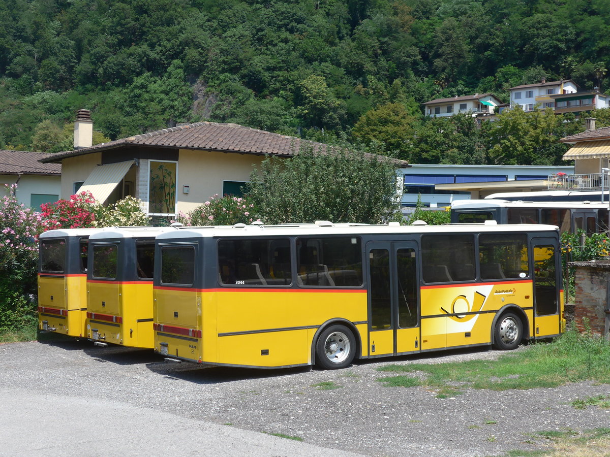 (208'056) - AutoPostale Ticino - TI 215'389 - MAN/Lauber (ex Nr. 304; ex P 23'030) am 21. Juli 2019 in Maroggia, Garage Merzaghi