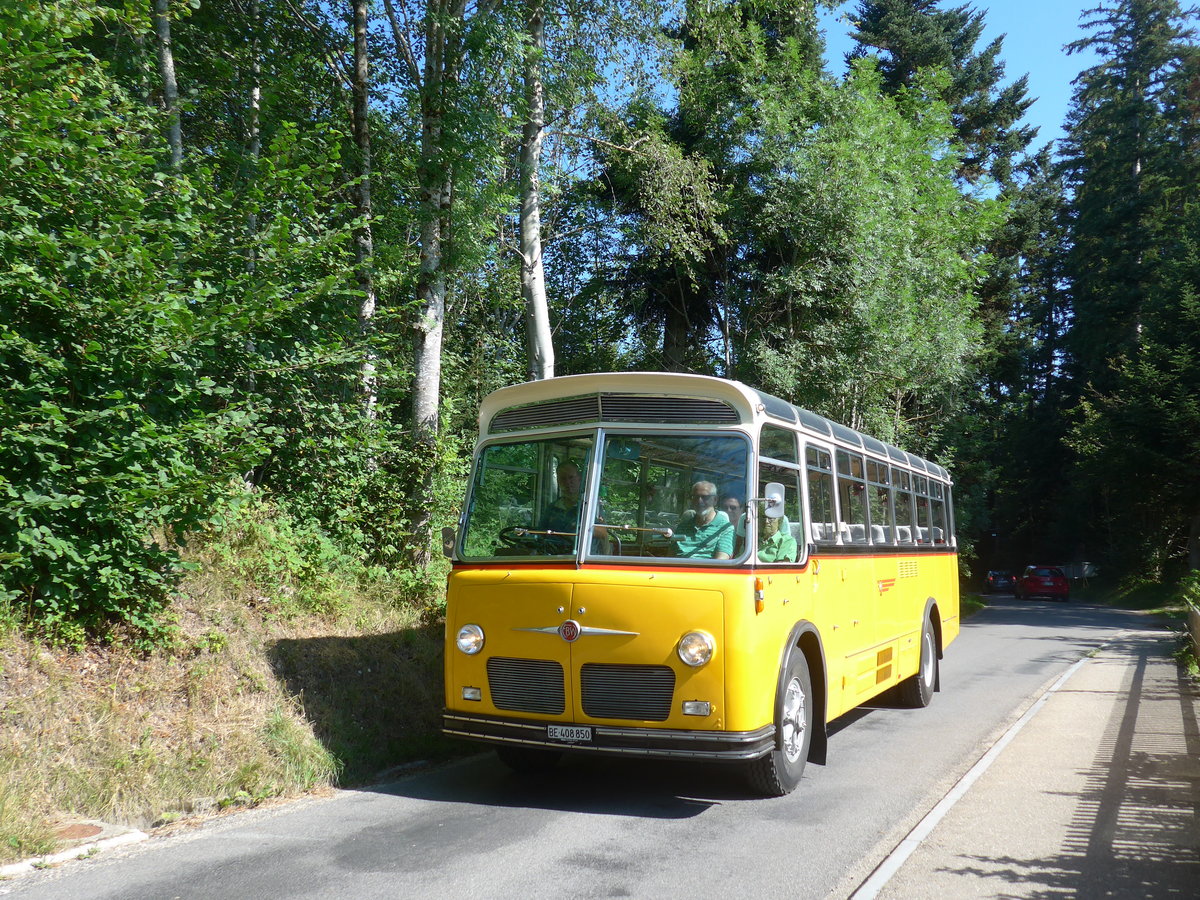 (208'407) - Ott, Ortschwaben - BE 408'850 - FBW/FHS (ex Nef, Hemberg; ex Mathis, Chur; ex P 24'163) am 4. August 2019 in Emmenmatt, Moosegg