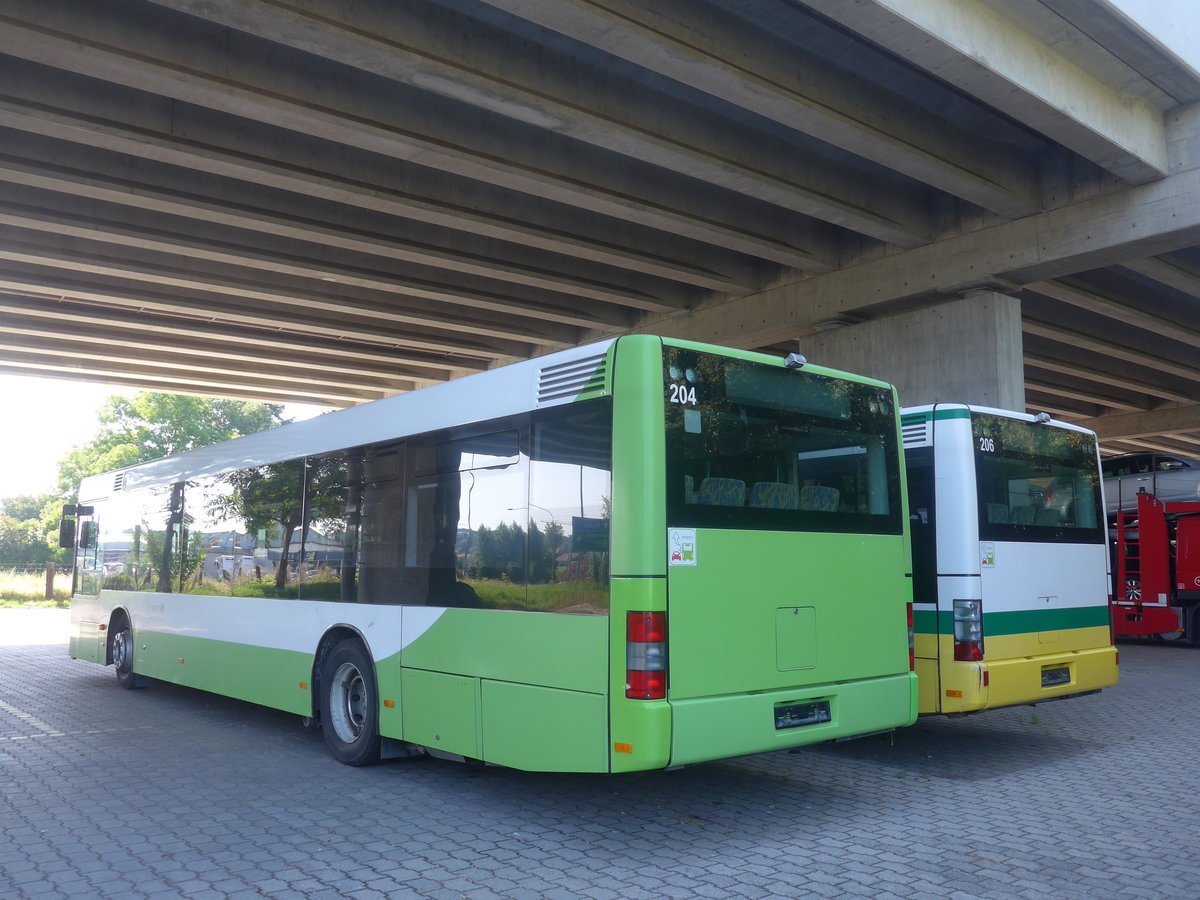 (209'673) - transN, La Chaux-de-Fonds - Nr. 204 - MAN (ex TN Neuchtel Nr. 204) am 15. September 2019 in Kerzers, Murtenstrasse