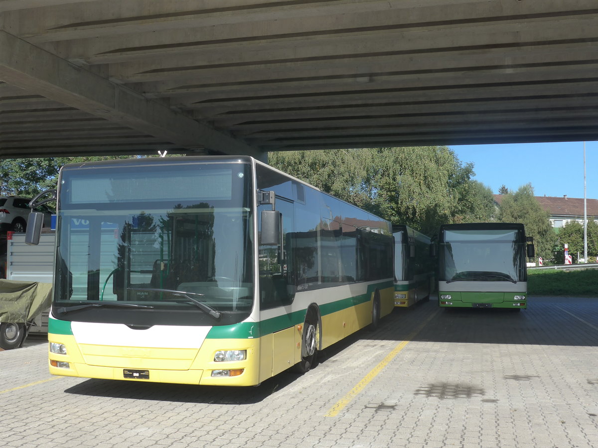 (209'675) - transN, La Chaux-de-Fonds - Nr. 207 - MAN (ex TN Neuchtel Nr. 207) am 15. September 2019 in Kerzers, Murtenstrasse