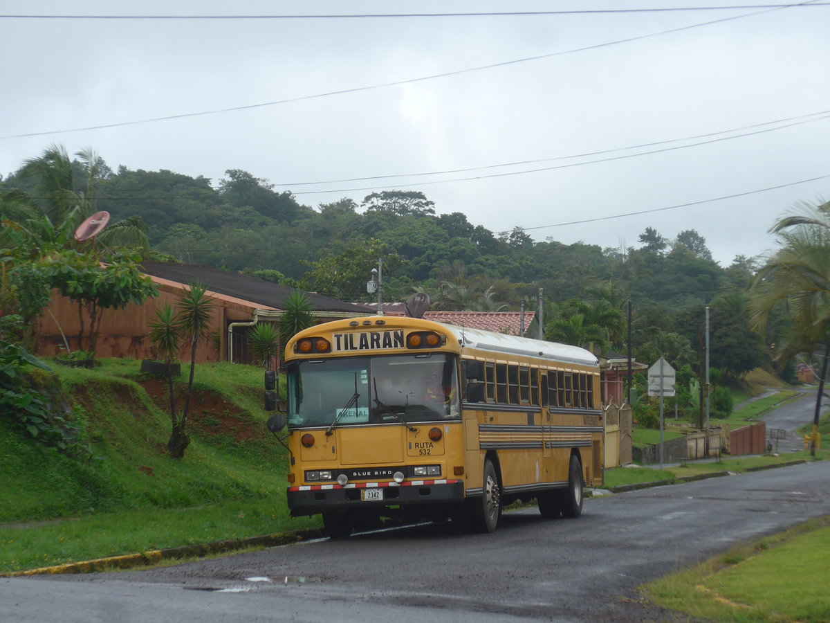 (211'313) - Transportes Tilarn, Tilarn - 2342 - Bluebird am 15. November 2019 in Nuevo Arenal