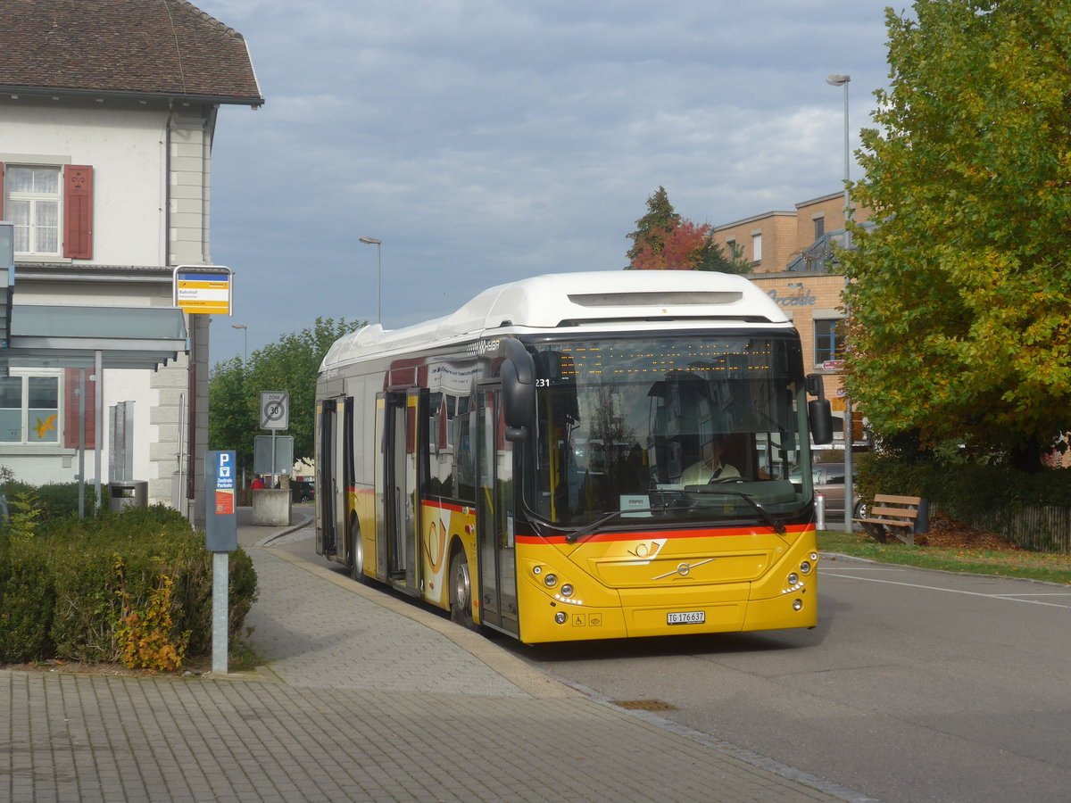 (222'243) - PostAuto Ostschweiz - TG 176'637 - Volvo am 21. Oktober 2020 beim Bahnhof Diessenhofen