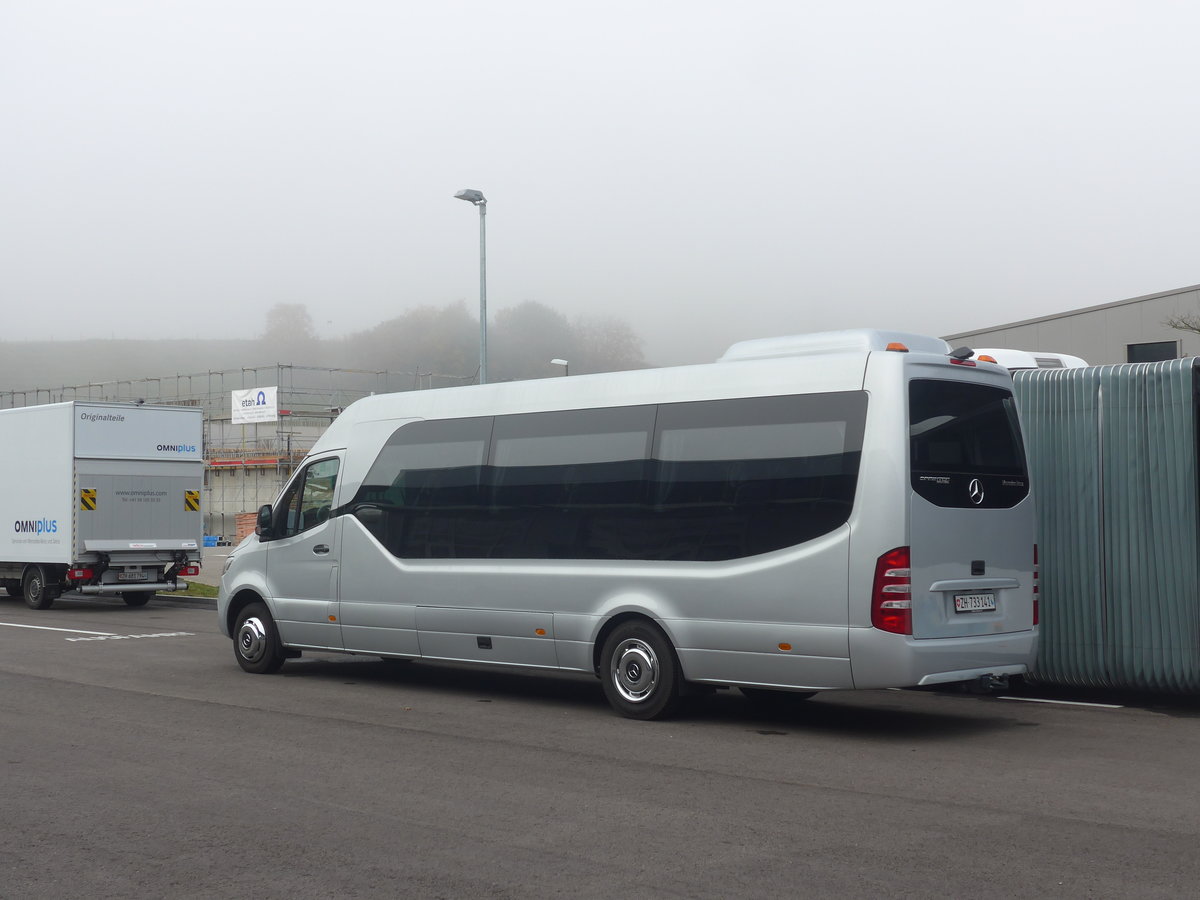 (222'668) - EvoBus, Winterthur - ZH 733'141 - Mercedes am 25. Oktober 2020 in Winterthur, EvoBus