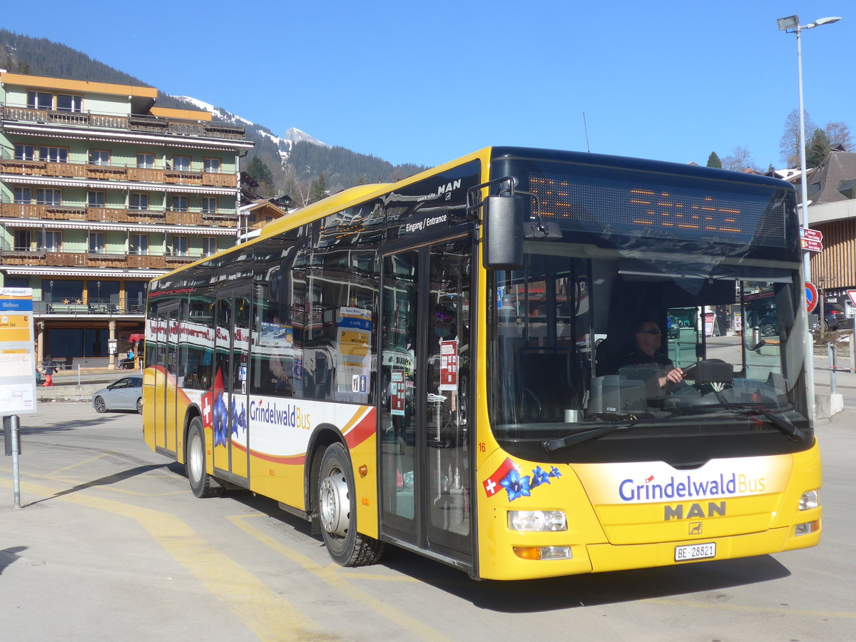 (223'882) - Grindelwaldbus, Grindelwald - Nr. 16/BE 28'821 - MAN am 28. Februar 2021 beim Bahnhof Grindelwald