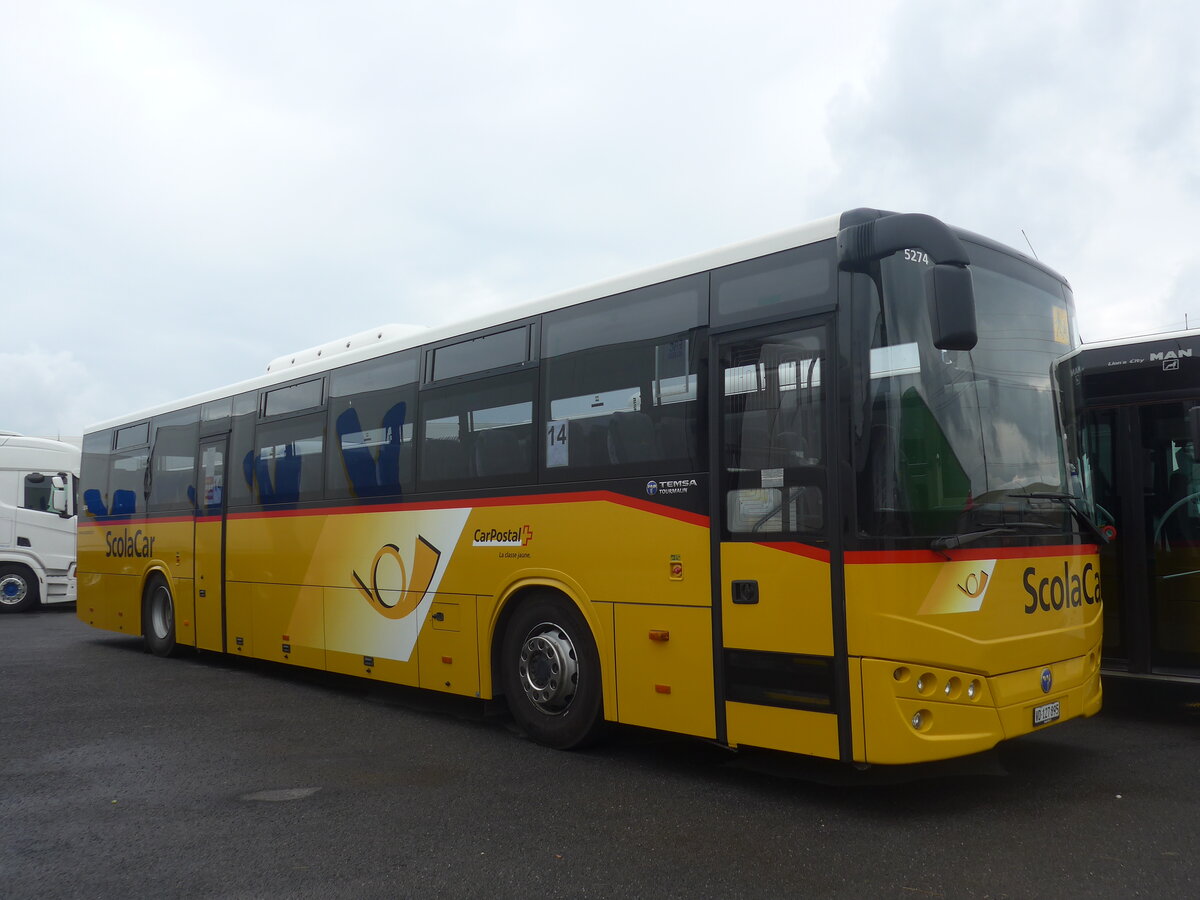 (226'184) - CarPostal Ouest - VD 127'895 - Temsa (ex ARCC Aubonne) am 4. Juli 2021 in Kerzers, Interbus