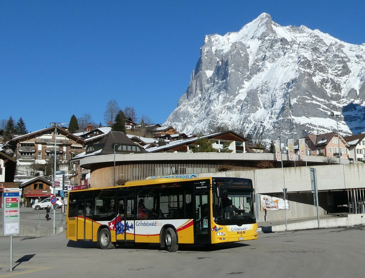 (233'295) - Grindelwaldbus, Grindelwald - Nr. 13/BE 407'170 - MAN/Gppel am 27. Februar 2022 beim Bahnhof Grindelwald