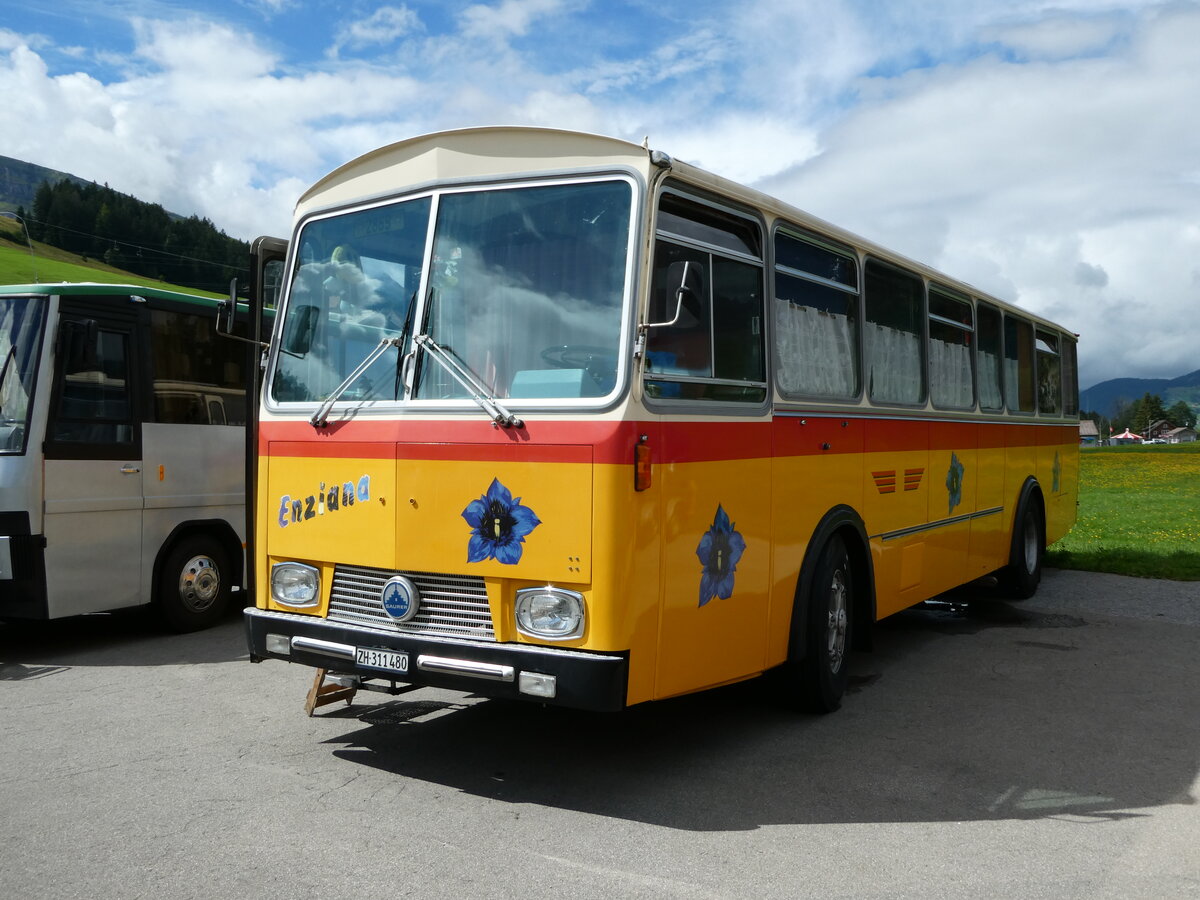 (239'150) - Ghwiler, Birmensdorf - ZH 311'480 - Saurer/Tscher (ex AVG Grindelwald Nr. 12; ex Steiger, Schlatt) am 20. August 2022 in Wildhaus, Munzenriet