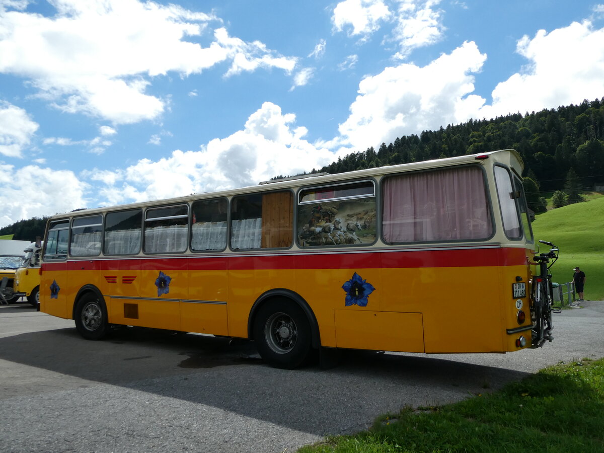 (239'206) - Ghwiler, Birmensdorf - ZH 311'480 - Saurer/Tscher (ex AVG Grindelwald Nr. 12; ex Steiger, Schlatt) am 20. August 2022 in Wildhaus, Munzenriet