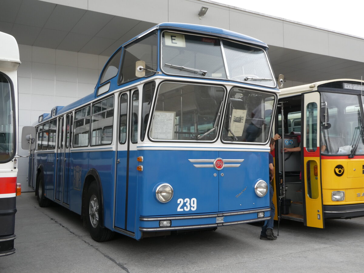 (239'586) - VBZ Zrich (FBW-Club) - Nr. 239 - FBW/Tscher Hochlenker (ex Kamm, Schlieren; ex VBZ Zrich Nr. 239; ex VBZ Zrich Nr. 219) am 27. August 2022 in Oberkirch, CAMPUS Sursee