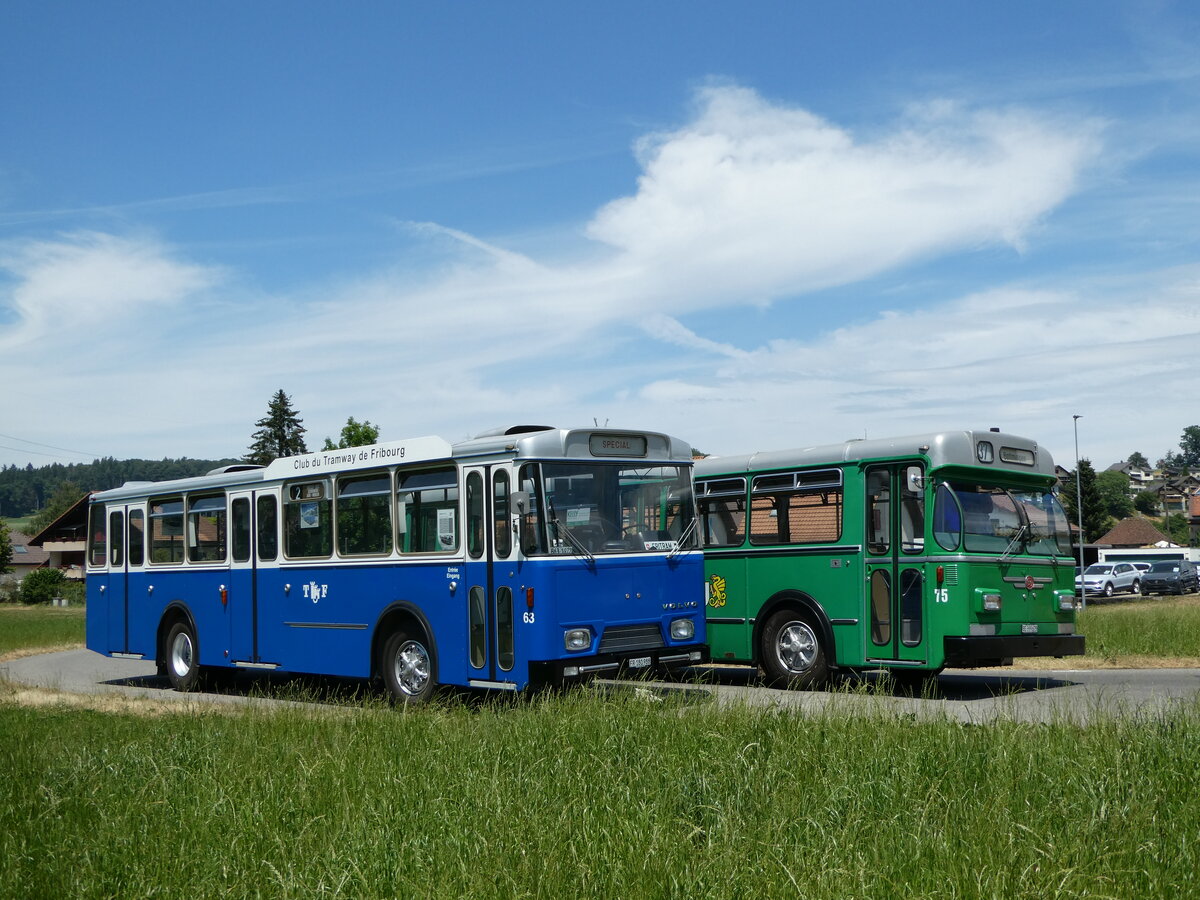 (251'725) - TF Fribourg (CTF) - Nr. 63/FR 180'988 - Volvo/Hess (ex TPF Fribourg Nr. 63; ex TF Fribourg Nr. 63) am 18. Juni 2023 in Wynigen, Landi