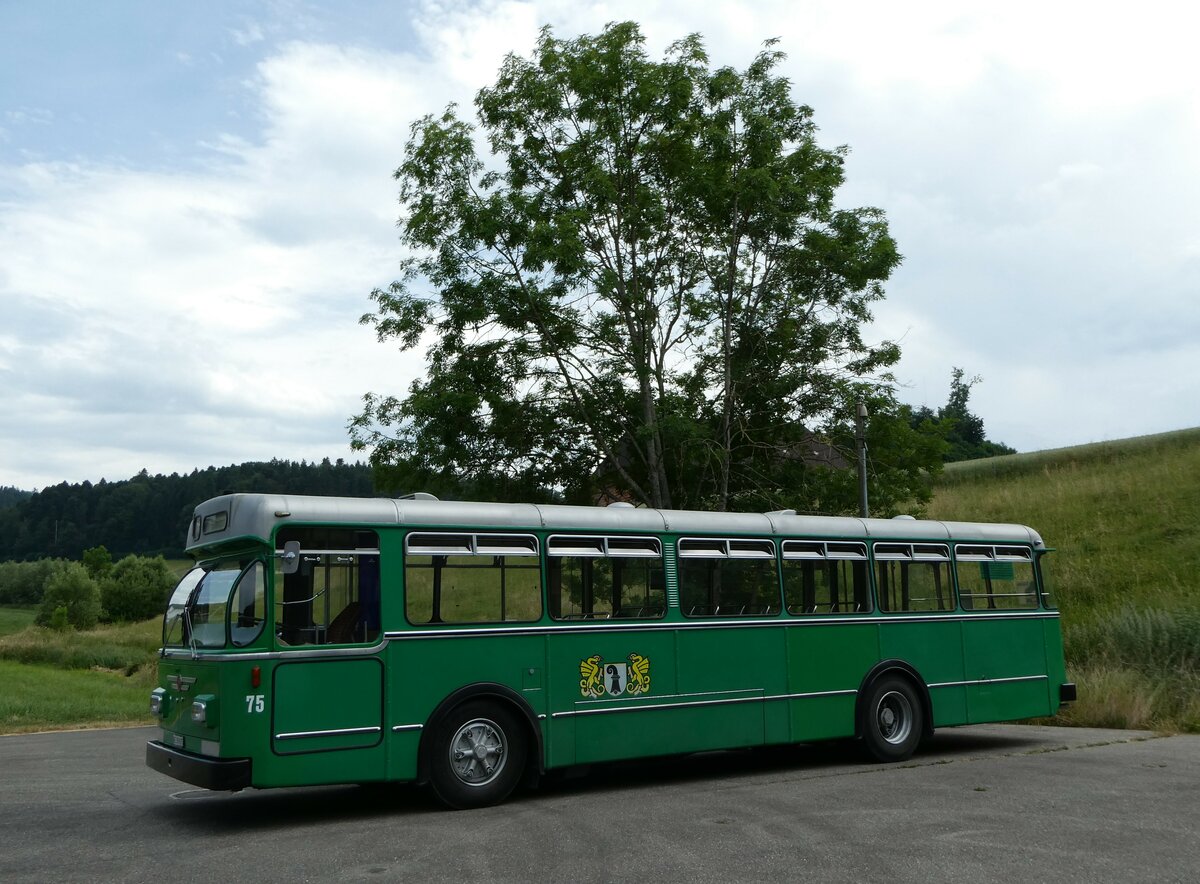 (251'781) - BVB Basel (RWB) - Nr. 75/BE 399'675 - FBW/FHS am 18. Juni 2023 in Heimiswil, Lwen