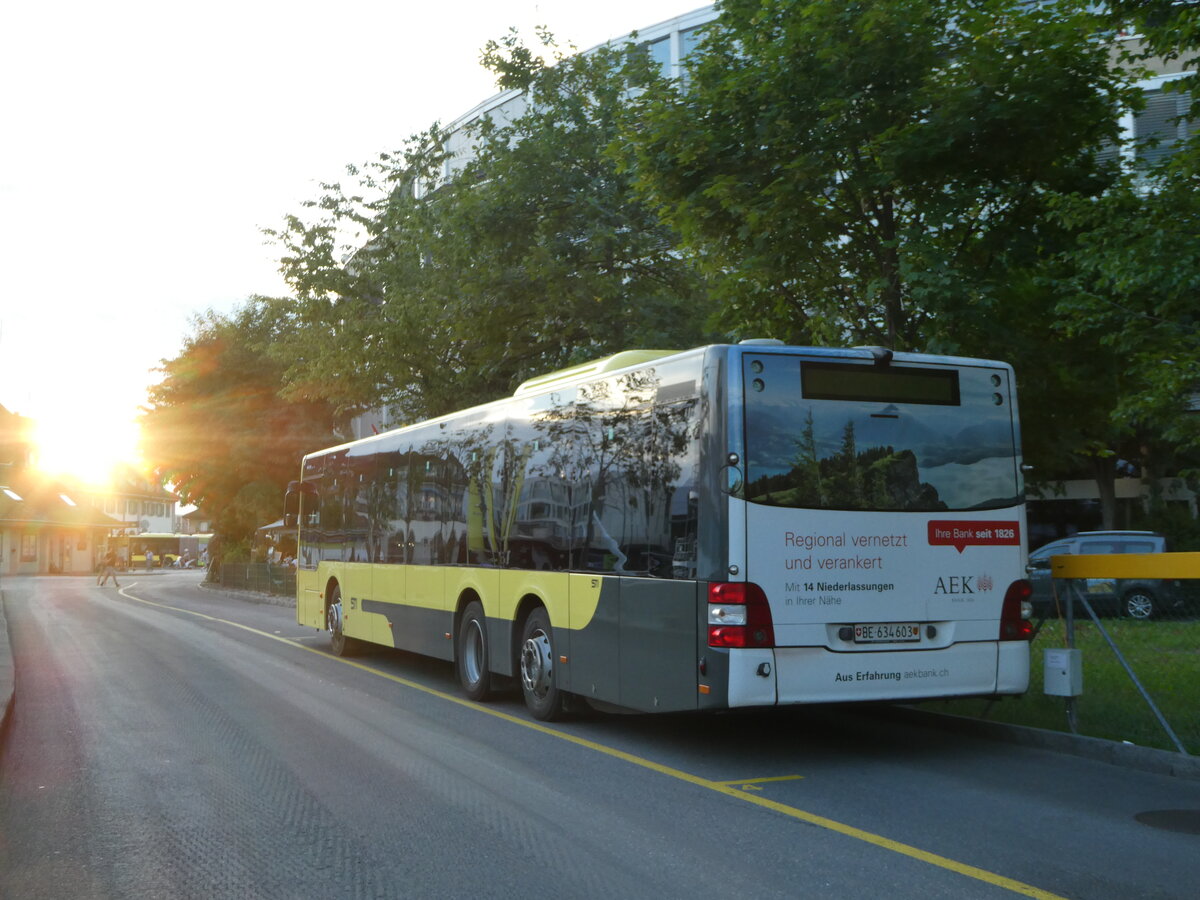 (253'266) - STI Thun - Nr. 603/BE 634'603 - MAN am 31. Juli 2023 bei der Schifflndte Thun