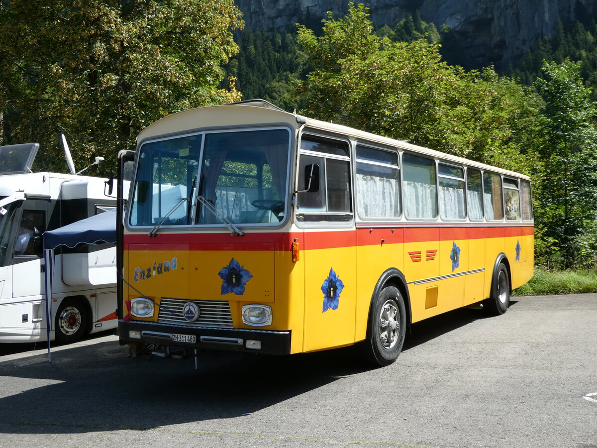 (253'958) - Ghwiler, Birmensdorf - ZH 311'480 - Saurer/Tscher (ex AVG Grindelwald Nr. 12; ex Steiger, Schlatt) am 19. August 2023 in Hoch-Ybrig, Talstation Weglosen