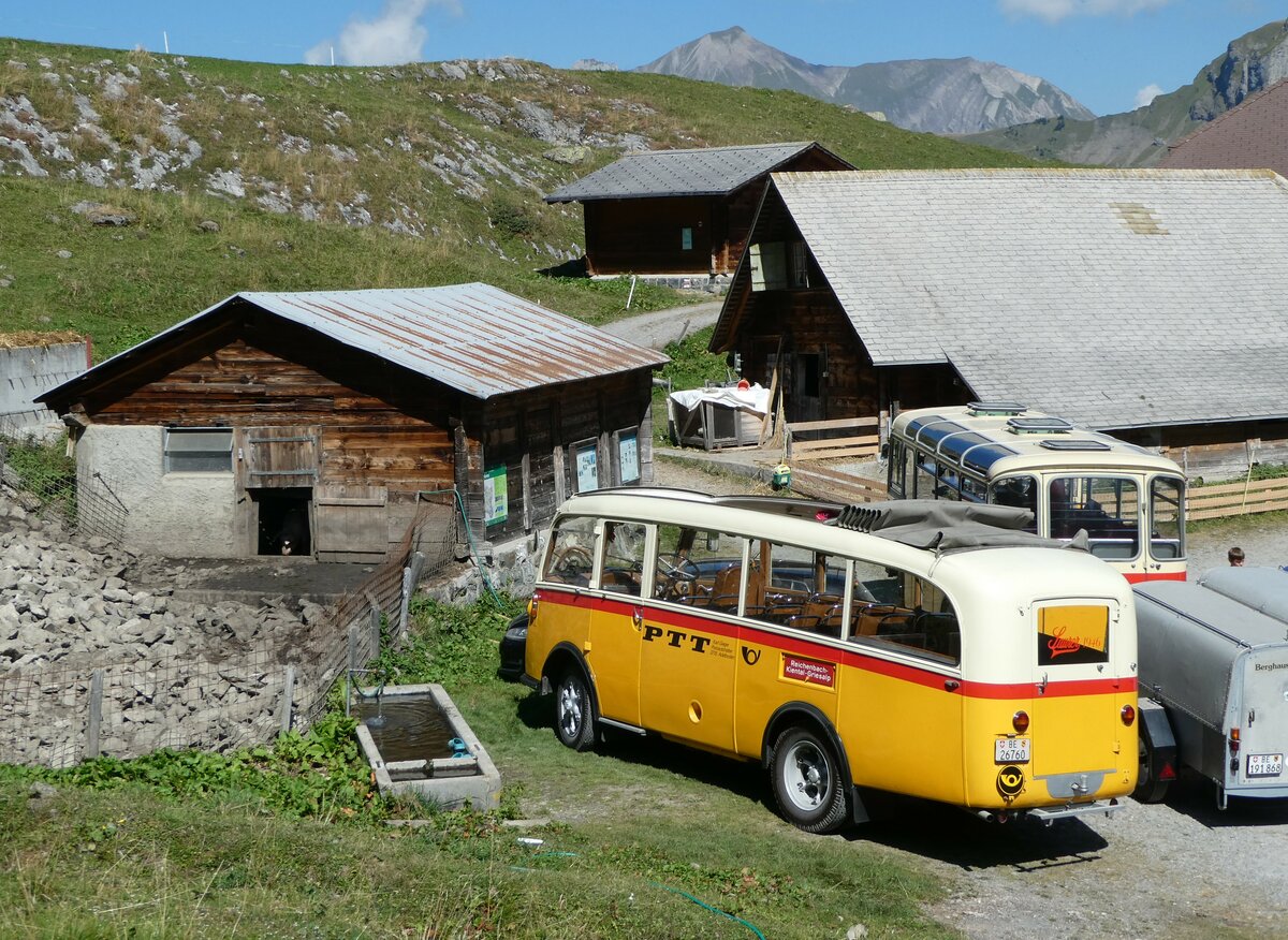 (255'064) - Schmid, Thrishaus - Nr. 3/BE 26'760 - Saurer/Gangloff (ex Geiger, Adelboden Nr. 3) am 10. September 2023 auf der Bundalp