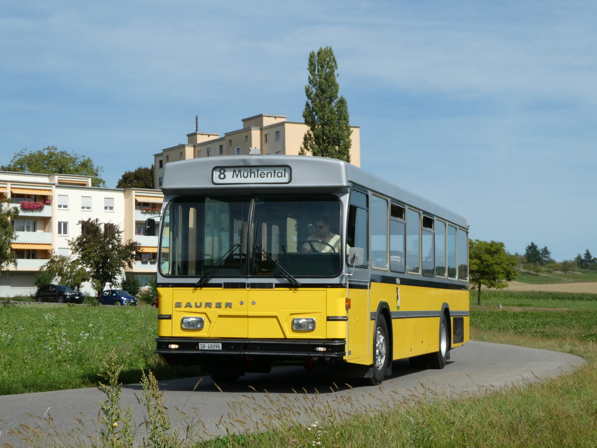 (255'324) - Wanner, Schleitheim - SH 48'096 - Saurer/Hess (ex Ruklin, Schaffhausen; ex VBSH Schaffhausen Nr. 40; ex VBSH Schaffhausen Nr. 19) am 17. September 2023 in Schaffhausen, Vgelingsschen